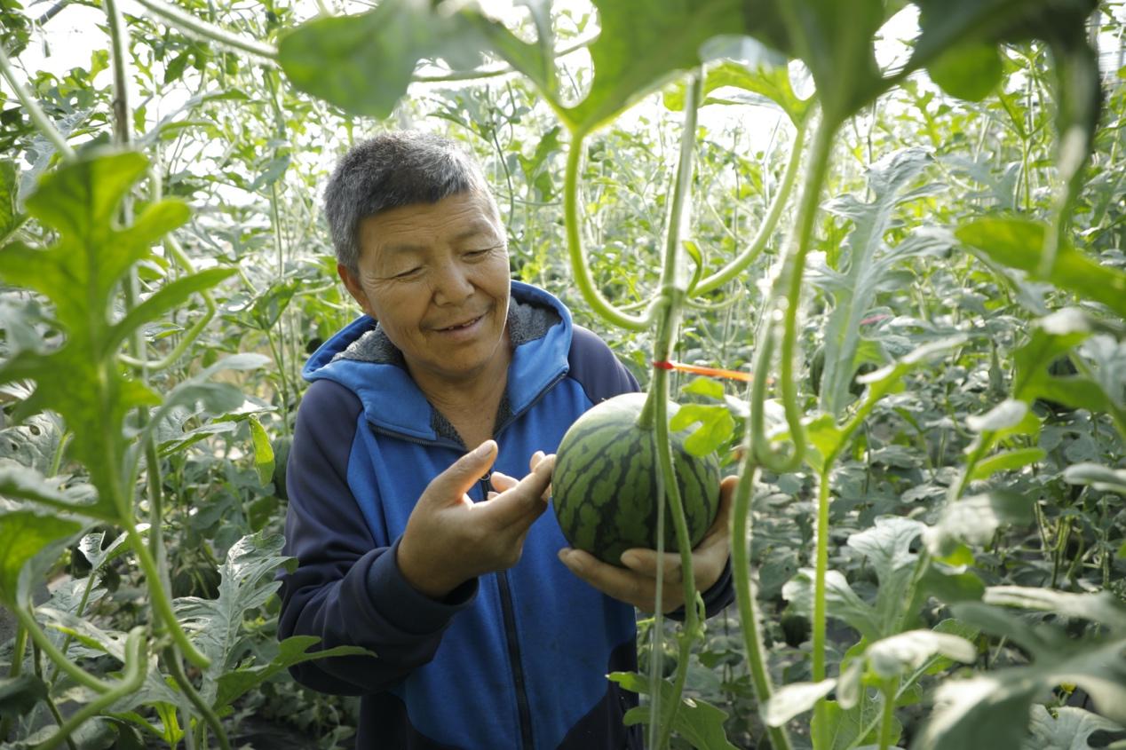 北京市购货券最新价格,北京市购货券最新价格及其影响