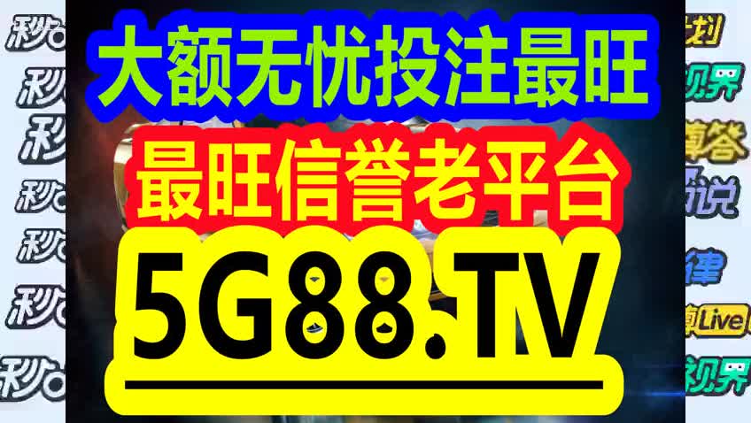 管家婆一码中一肖2024,管家婆一码中一肖，揭秘未来幸运之星的神秘面纱（XXXX年展望）