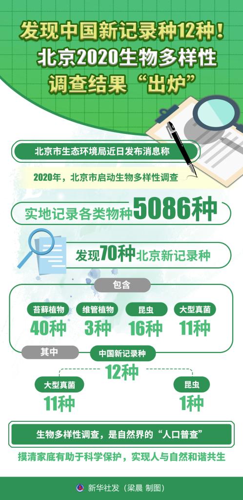 2024新澳门历史开奖记录查询结果,2024新澳门历史开奖记录查询结果，探索澳门彩票的历史与未来