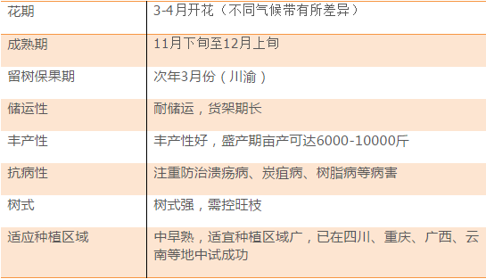 狐朋狗友 第3页