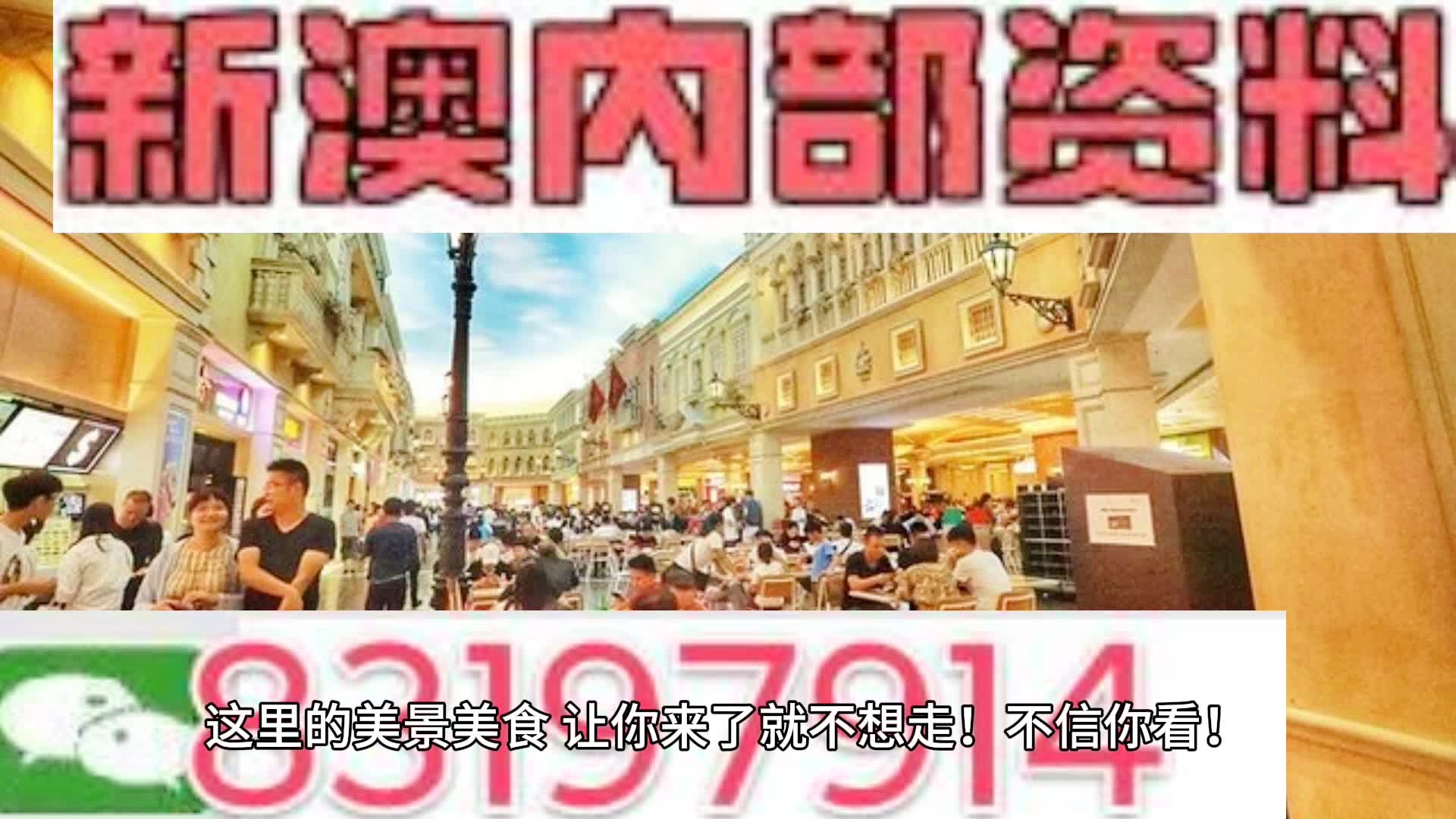 澳门内部正版资料大全,澳门内部正版资料大全——揭示违法犯罪问题