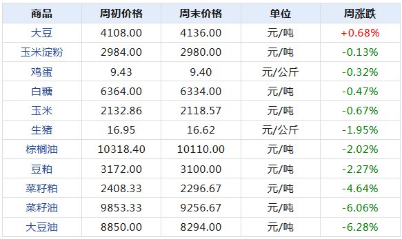 2024年12月21日 第6页