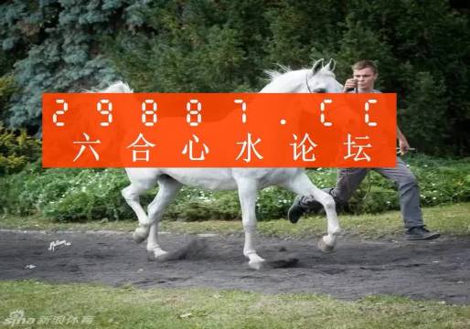 7777788888精准跑狗图,探索精准跑狗图，数字组合77777与88888的神秘魅力