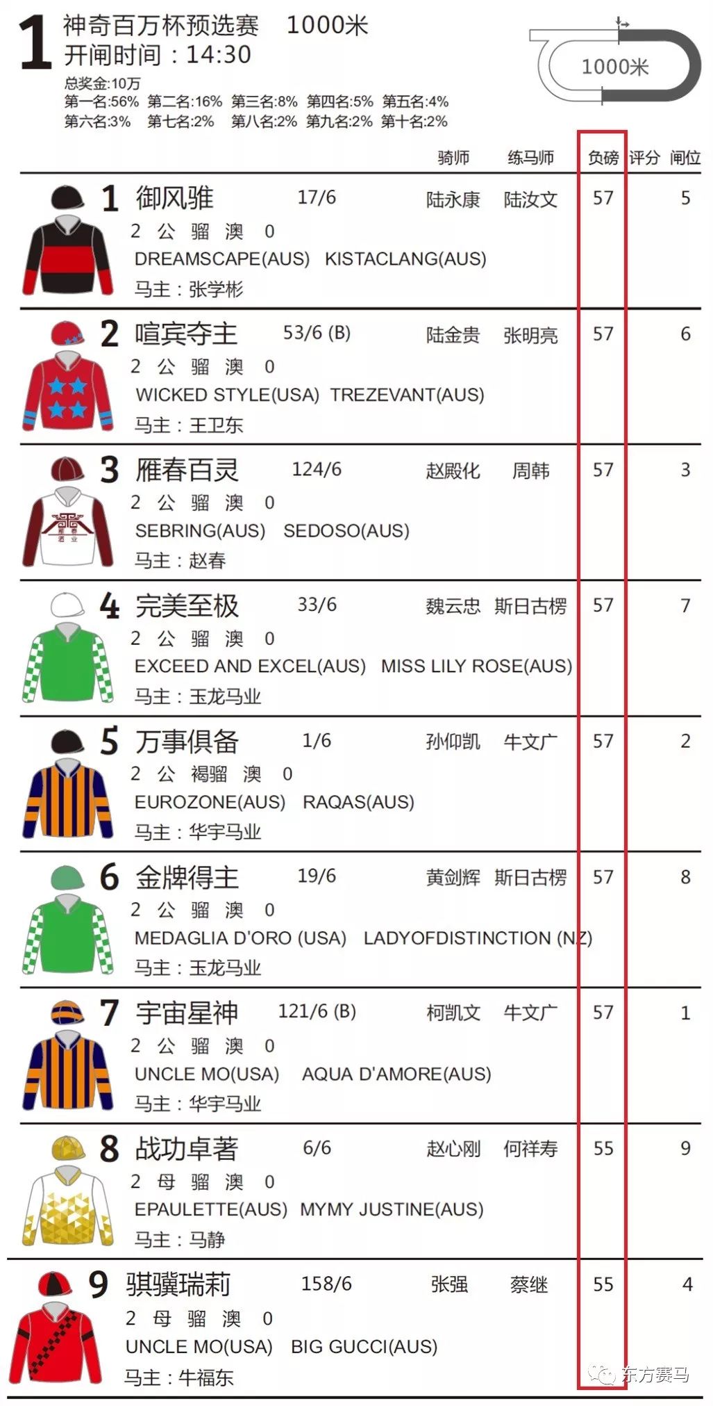 香港今晚开什么特马,香港今晚的马票结果预测与赛马文化深度解析