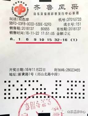 2024澳门特马今晚开奖07期,澳门特马今晚开奖07期，探索彩票背后的故事与期待