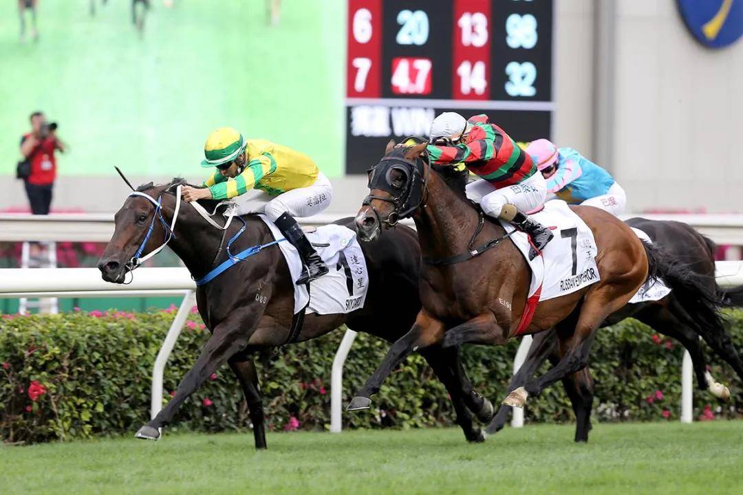 2025香港今期开奖号码马会,探索香港马会彩票，2025年香港今期开奖号码展望