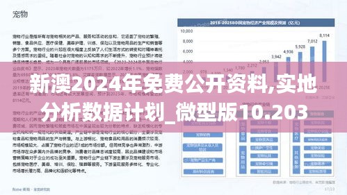 2025新澳正版资料,探索2025新澳正版资料的深度与广度