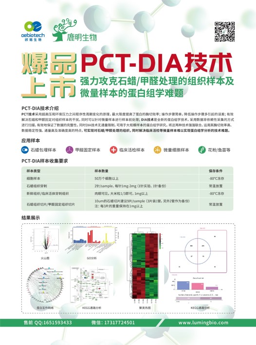 新奥精准资料免费提供510期,新奥精准资料免费提供510期，深度解析与前瞻