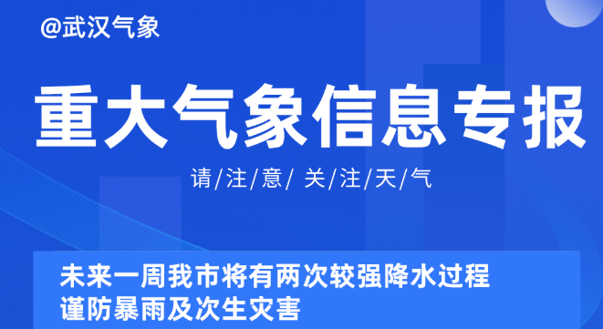 2025新奥资料免费精准071,探索未来，2025新奥资料免费精准获取之道（071关键词解读）