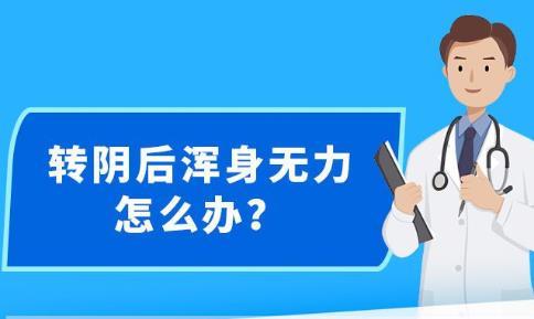 2004新澳精准资料免费,揭秘2004新澳精准资料免费背后的故事